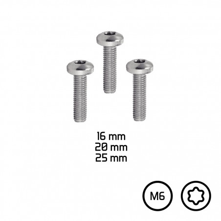 VISSERIE MARINE TÊTE PLATE TORX - M6