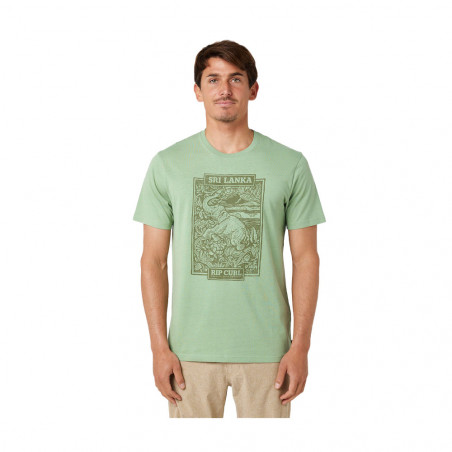 T-SHIRT RIPCURL DESTI ANIMALS JADE