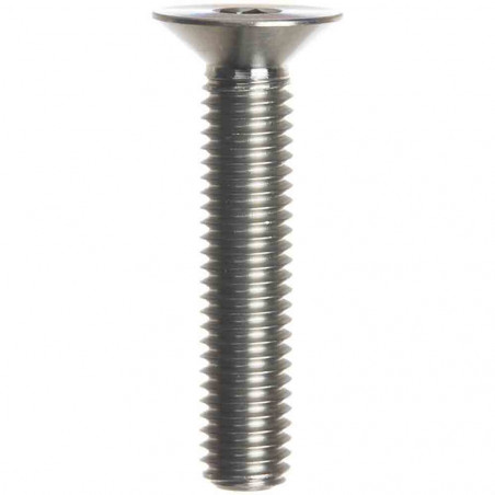 VISSERIE SLINGSHOT M8 40MM TITANIUM 