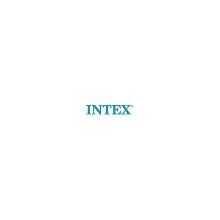 Intex