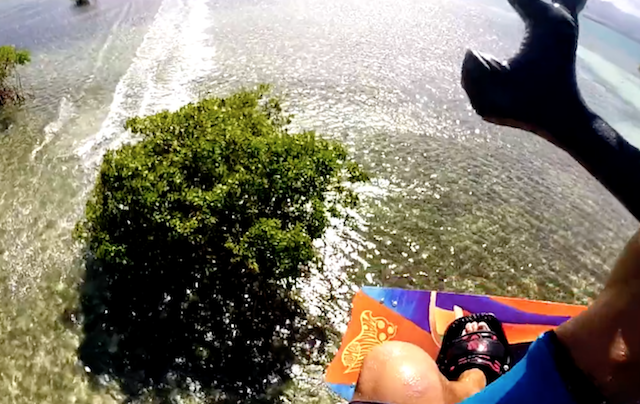 Appuyez sur PLA - session entre les palétuviers