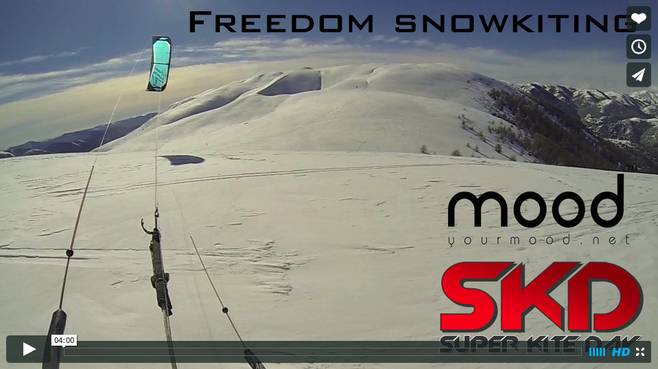 Search for Freedom...