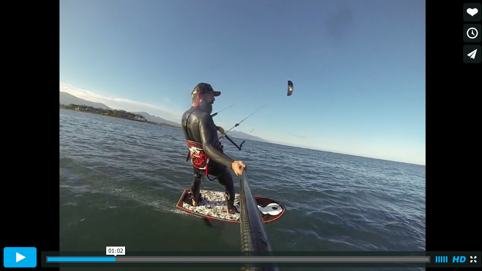 Vol au dessus d'un nid de coucou