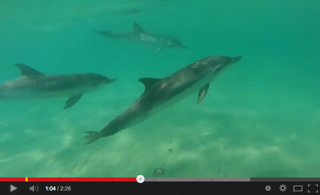 Rencontre (en kite...)